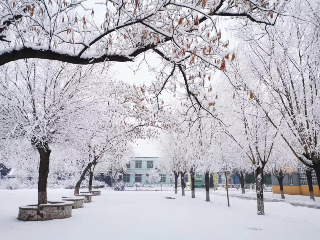 玉田雪化了吗,雪后有什么变化