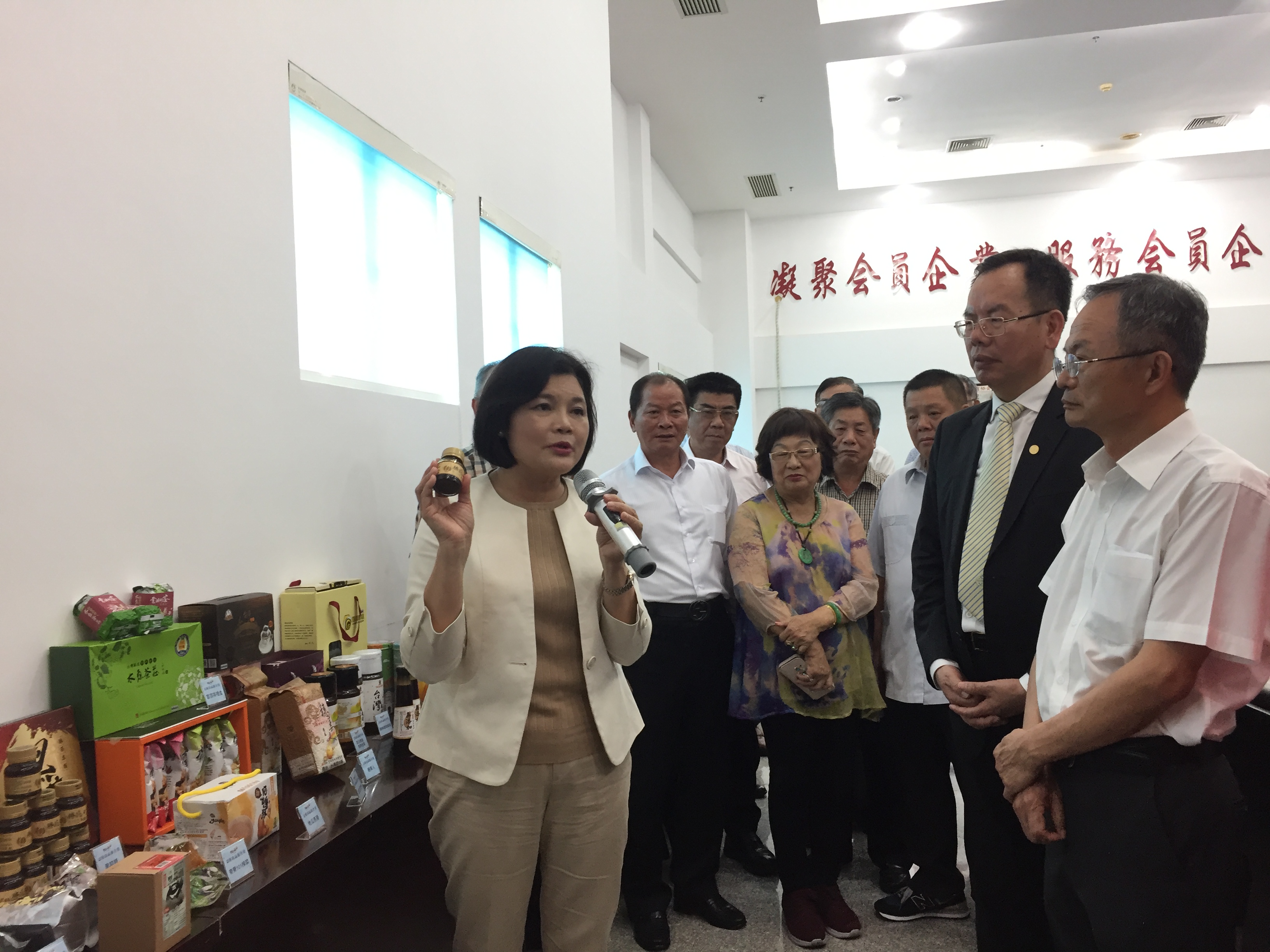 云林县张丽善选举,云林张丽善