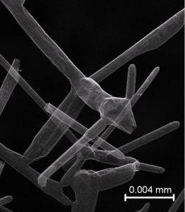 碳元素的克星,碳元素的意义和用途演讲稿