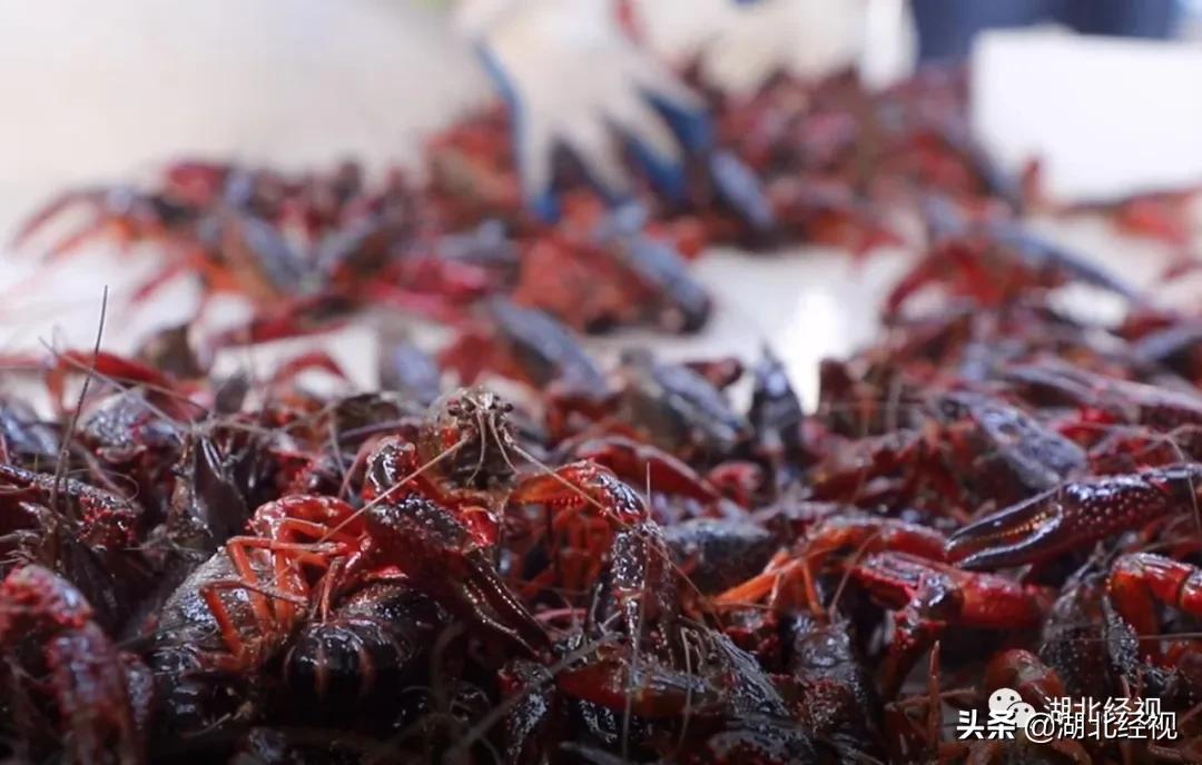 投入5000万！帮湖北“带货”，助武汉归队！武汉重启日，湖北经视携手10省市电视台，全天候全媒接力大联播