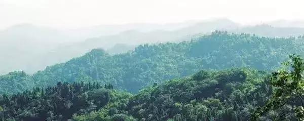 我说龙泉驿，你说好安逸！这座城的命运，正被幸福改写