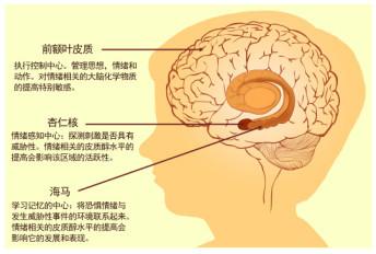 了解情绪的源头，你才能真正懂人性，才能真正调动智慧