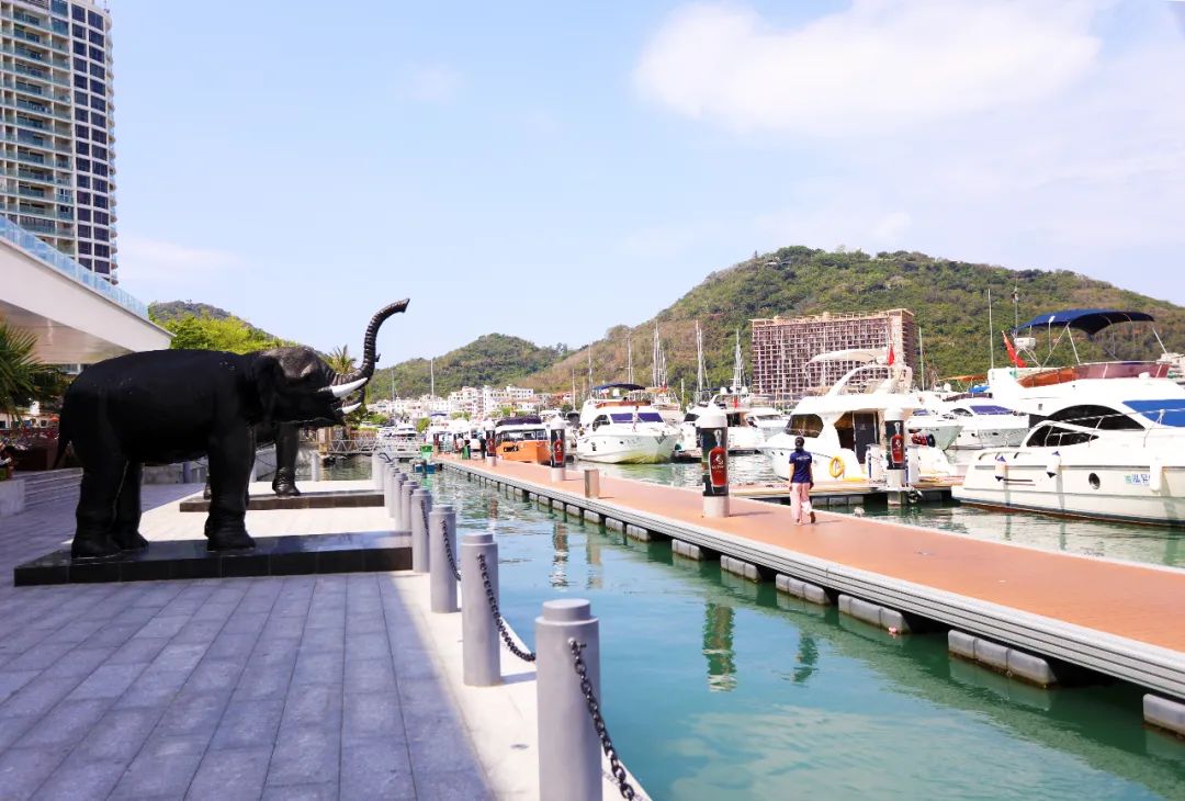 三亚豪华游艇出海一日游靠谱吗 (三亚游艇出海小攻略只要人均200元)