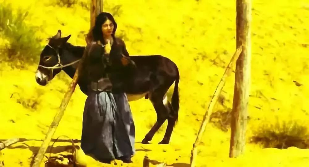 江湖里的神秘现象,江湖神秘的存在