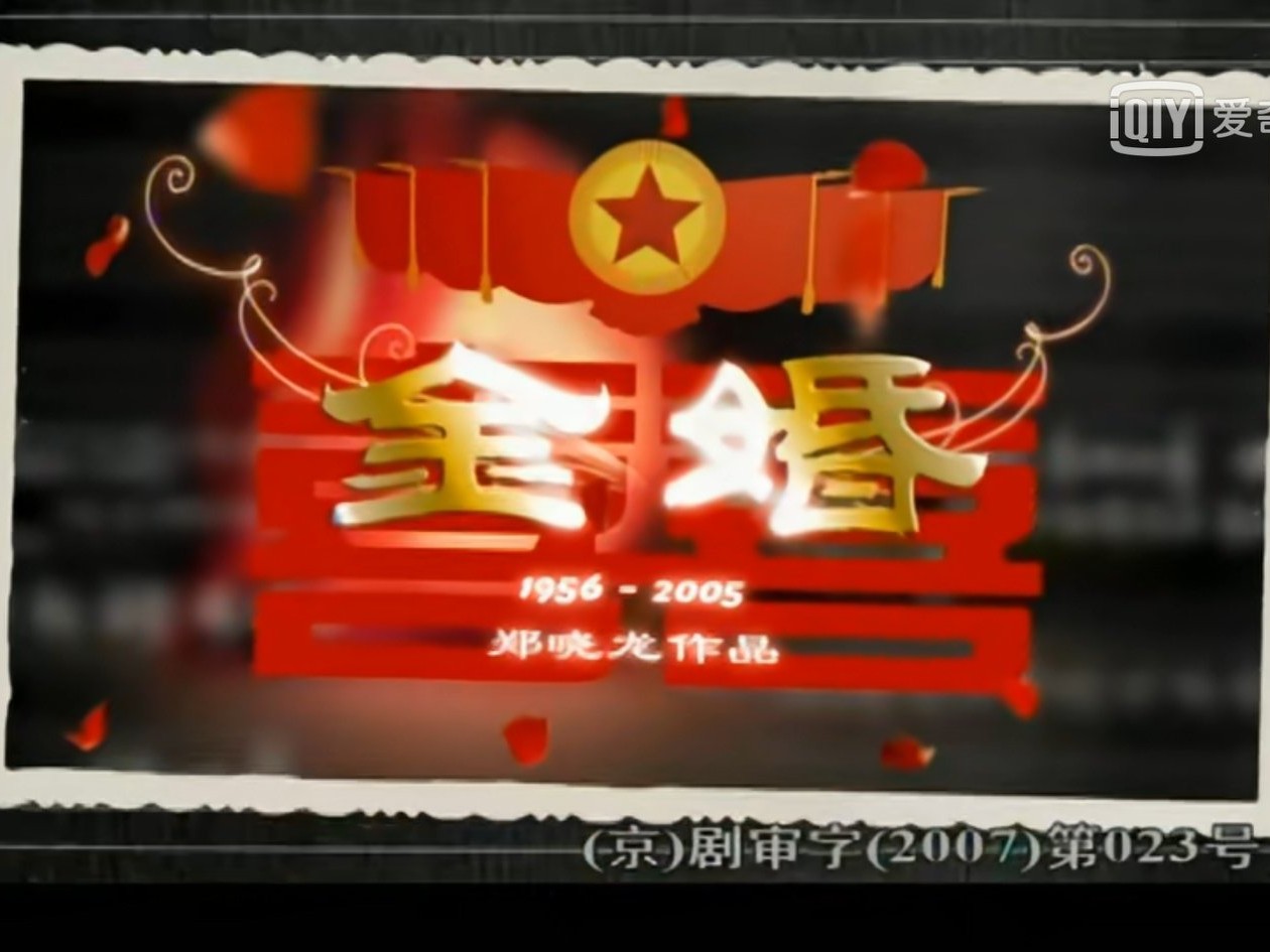 金婚电视剧佟志文丽,金婚中佟志和文丽的结局