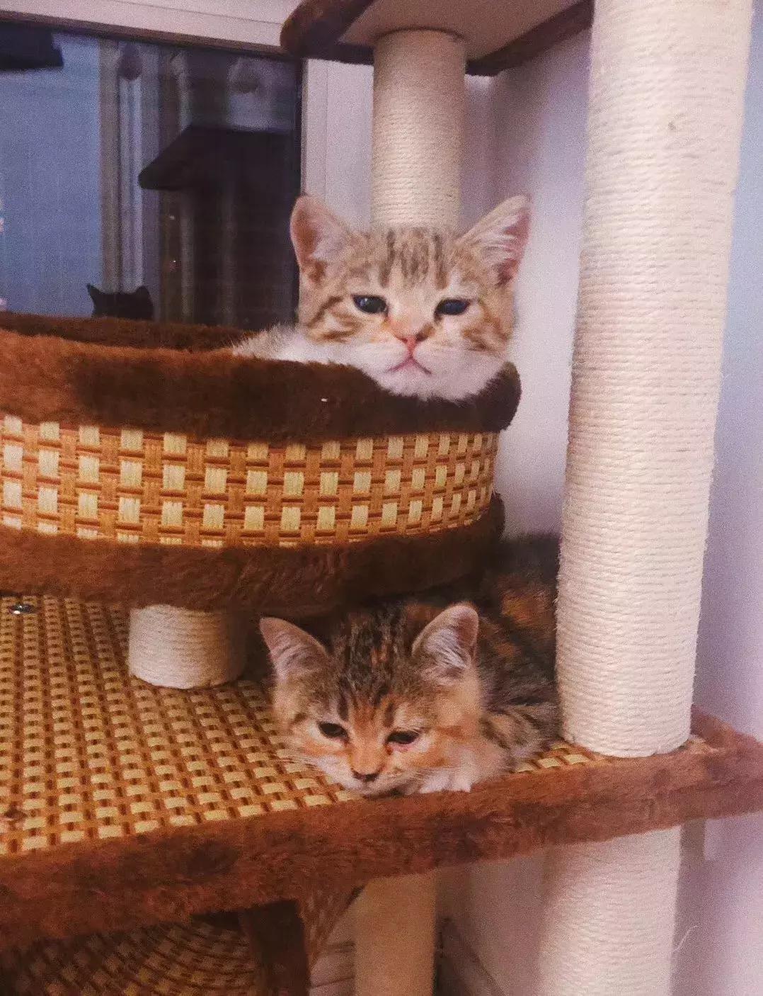 2018年，其实也过得没那么糟