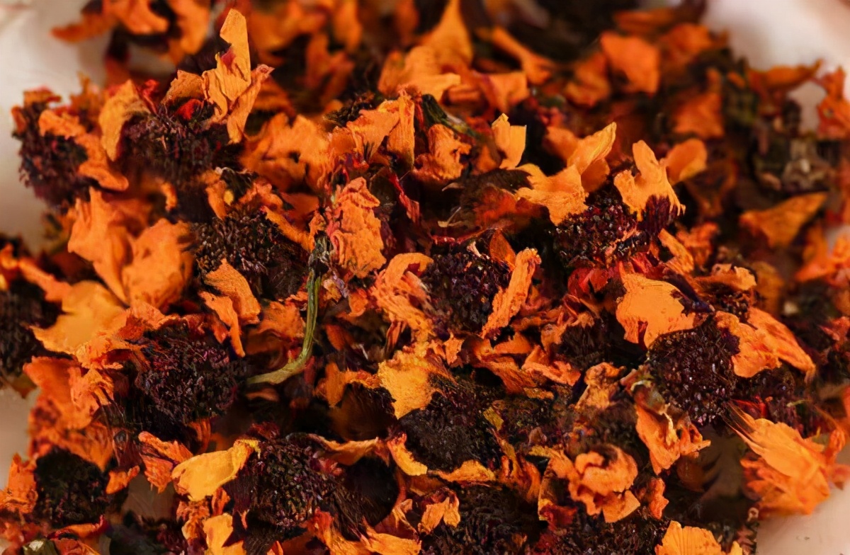 冰山上的来客昆仑山的雪菊,冰山雪菊真实图片