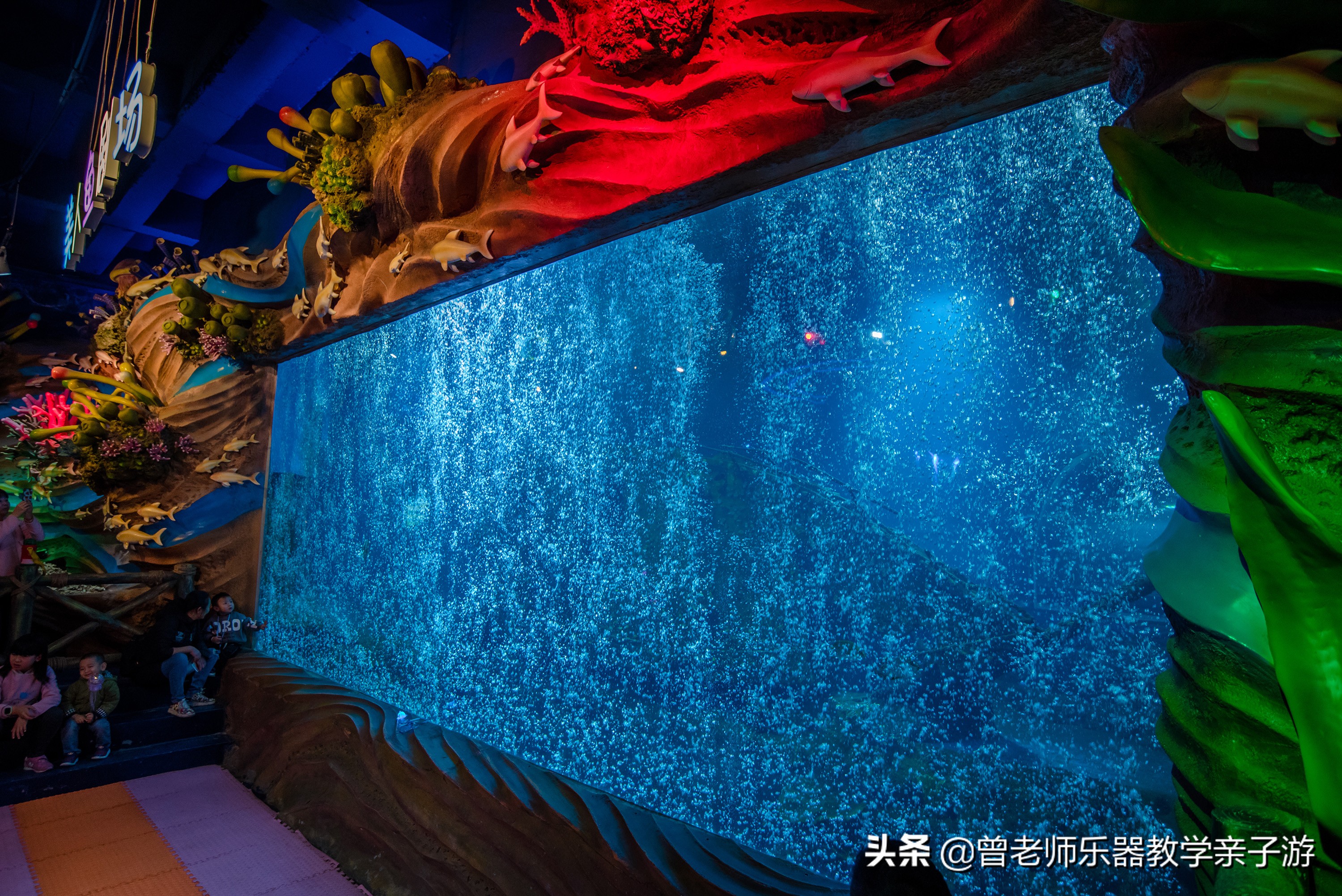 西安太奥海洋馆,西安极地海洋世界海豚表演