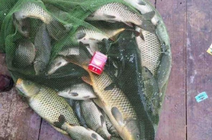 不是跟你吹原版,夏季钓鲤鱼晚上打窝七个绝招