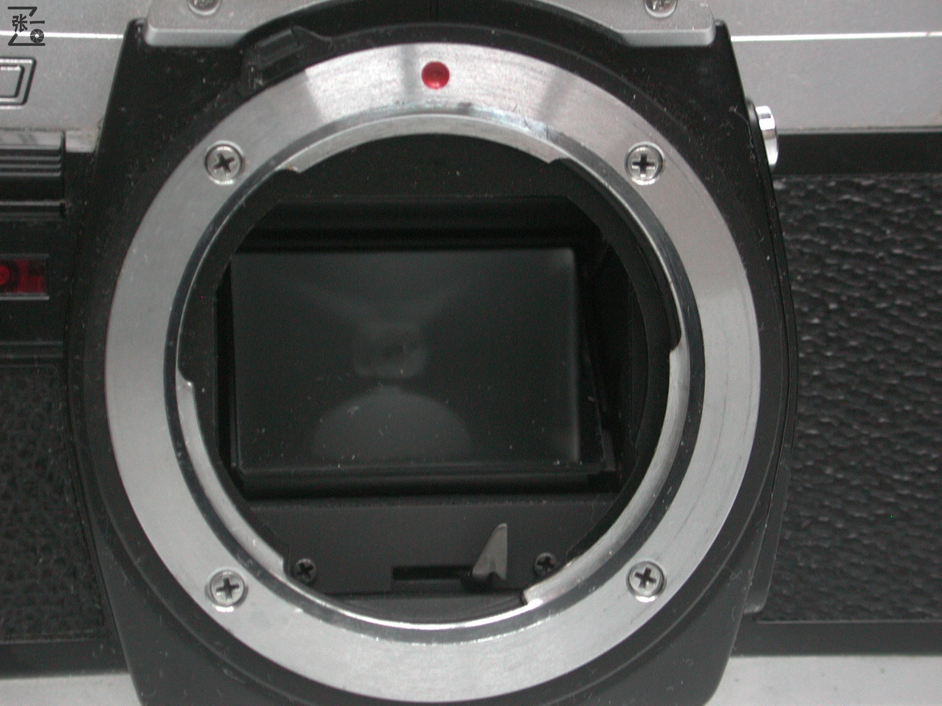 上海海鸥df相机,老牌海鸥单反相机价格表