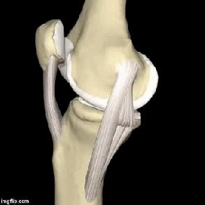 上下楼腿弯疼痛是什么原因,哪几种病导致上下楼梯膝盖疼