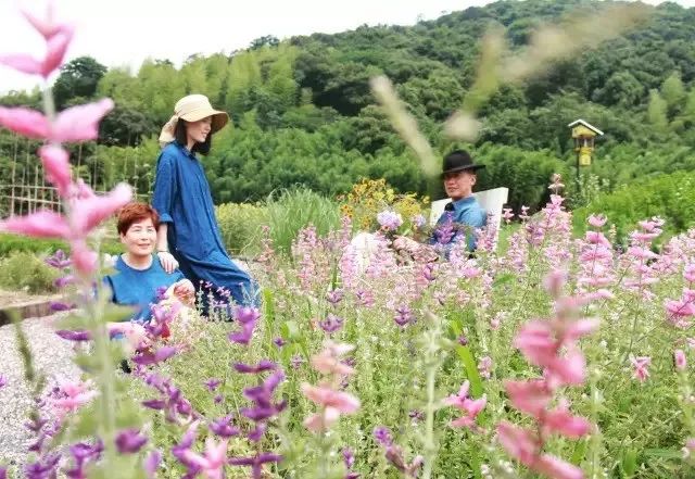 “土气”的休闲农业,正成为高端品牌争抢的“联姻”对象