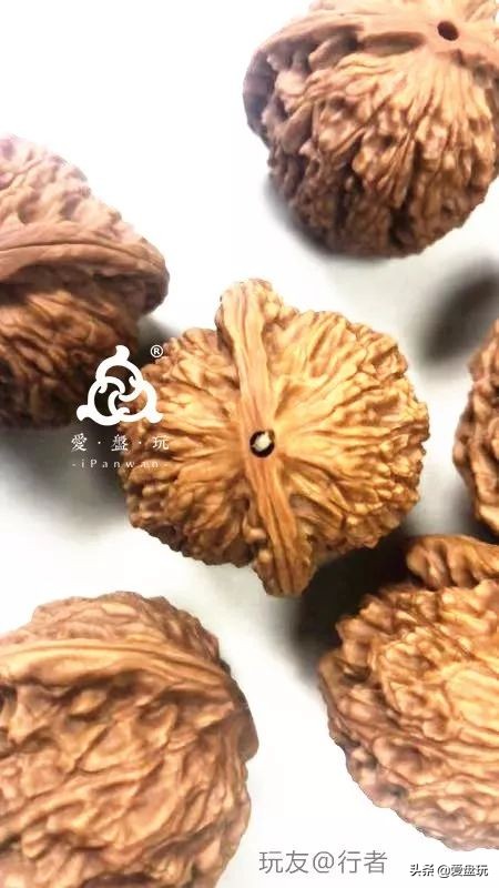 放了2年的凤眼,翻出来,虫子能组一个篮球队了