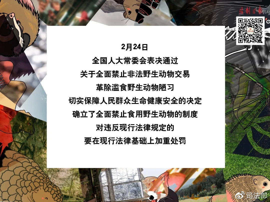 拒绝野味该做到的事情,呼吁大家拒绝野味怎么说