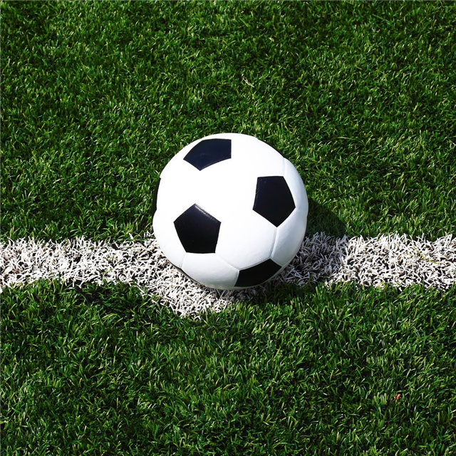 世界杯上发生的故事,世界杯有关故事