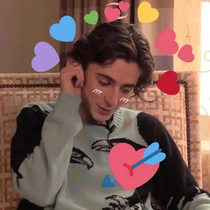 100张好看不常见的微信头像,适合中年女人高雅的微信头像