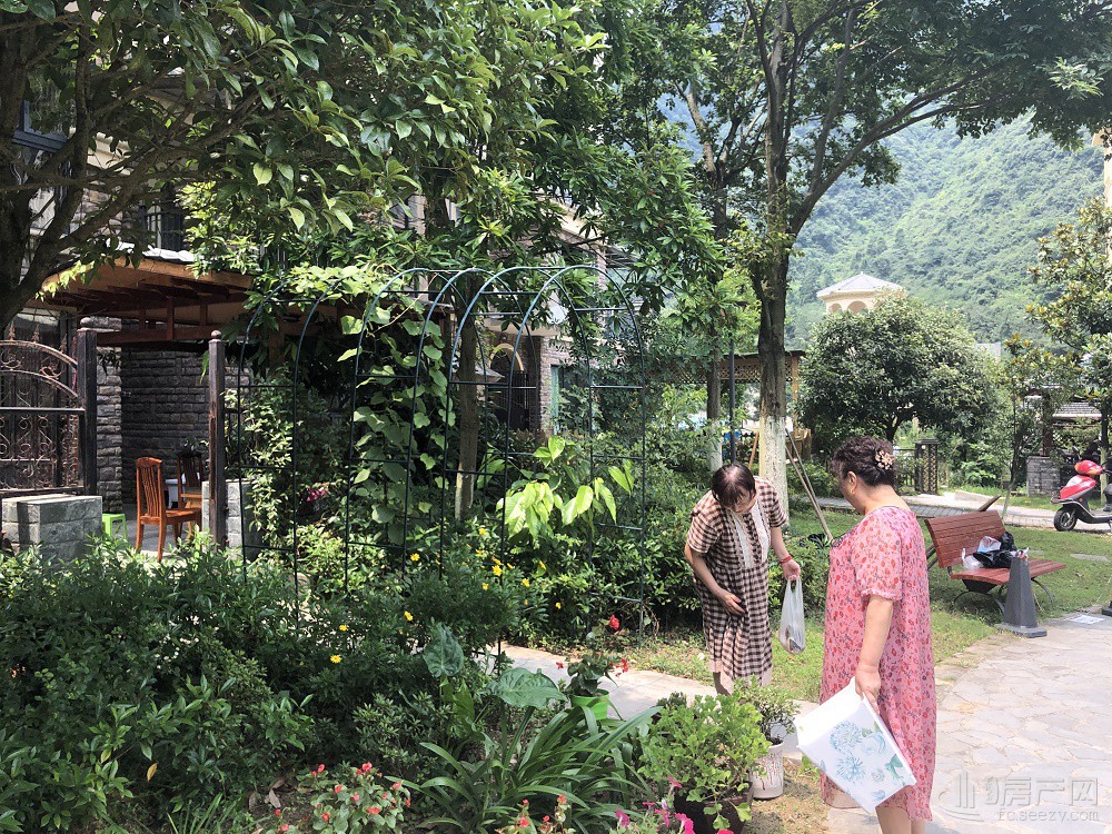 在娄山栖谷，遇见向往的诗意生活