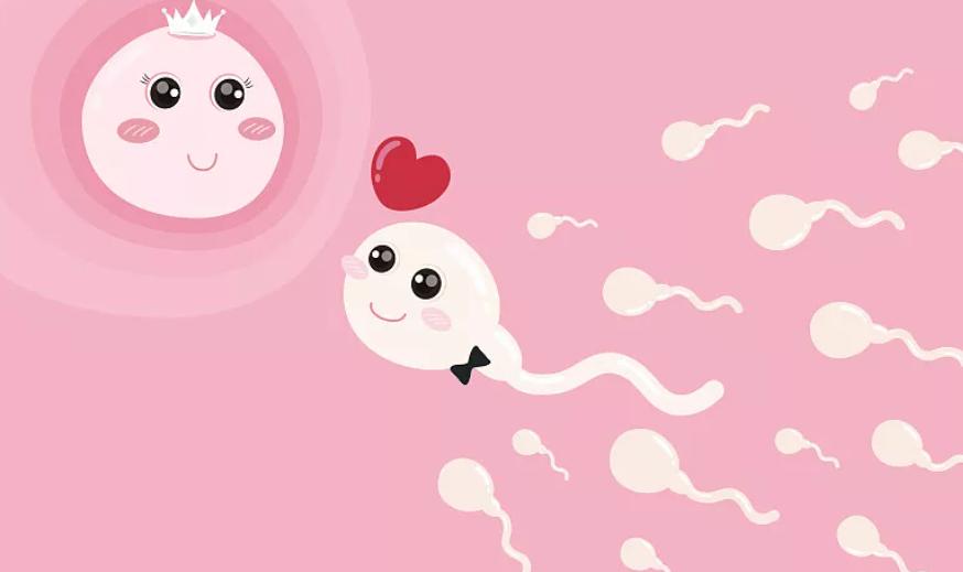 鑻卞浗濂冲瓙缃戜笂璐拱閽堢瓛,閽堢瓛浜哄伐鎺堢簿