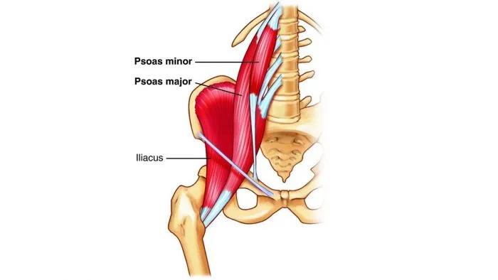 托马斯测试髋外旋,托马斯评测thomas