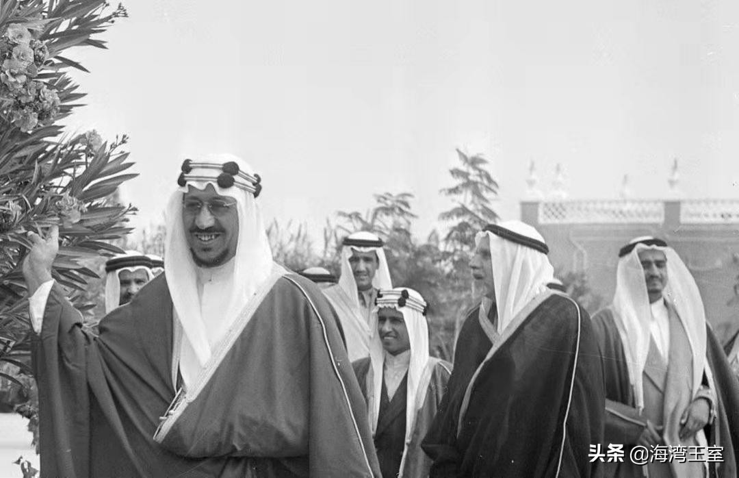 鍥界帇鏁村ぉ鑽掕癁鏃犲害,鍥界帇璐浘浜箰鐜╃墿涓у織