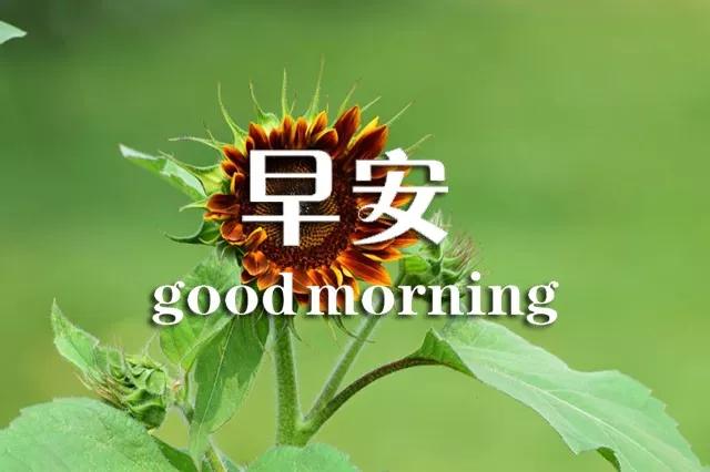 早上好心灵鸡汤正能量语句,早上好的励志句子心灵鸡汤