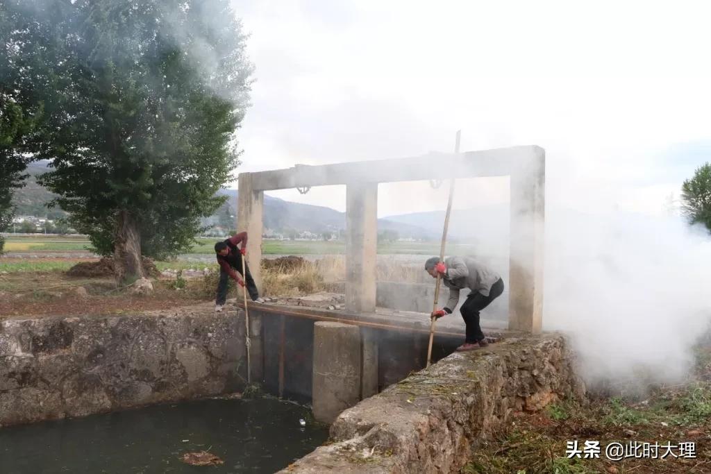 清河行动确保绿水长流,清河行动取得成效