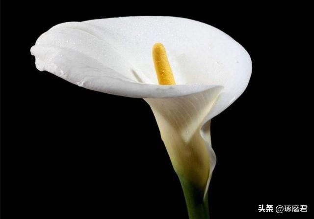 曾国藩七大箴言,曾国藩讲人生大智慧胜读十年书