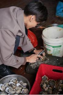 寻找钦州民间大蚝｜达人集结钦州，奔赴山海间的“蚝”门盛宴