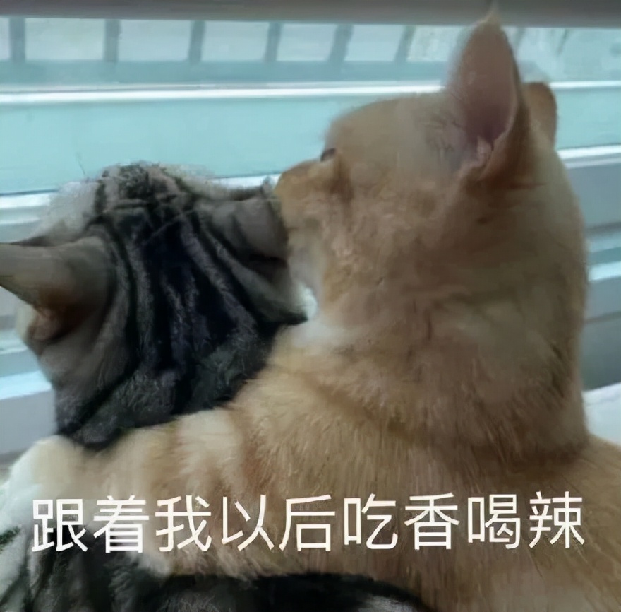 为什么治牙这么贵,为什么看牙病贵