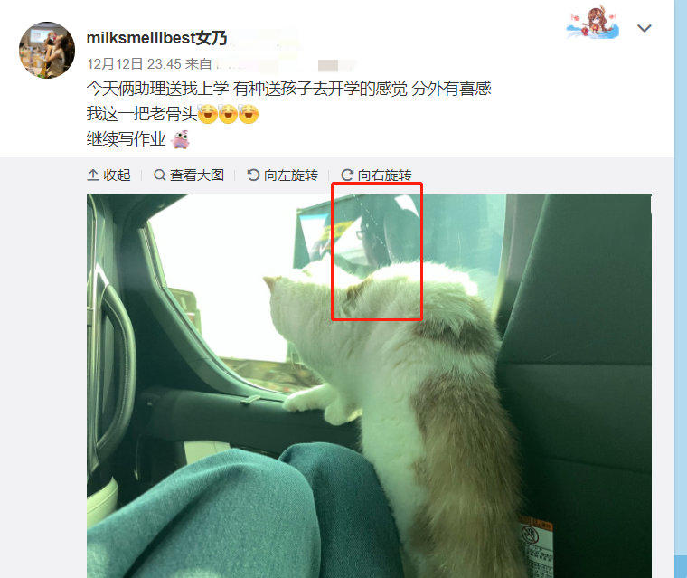 董花花与蒋凡现在怎么样了,阔太太落魄后生活水平