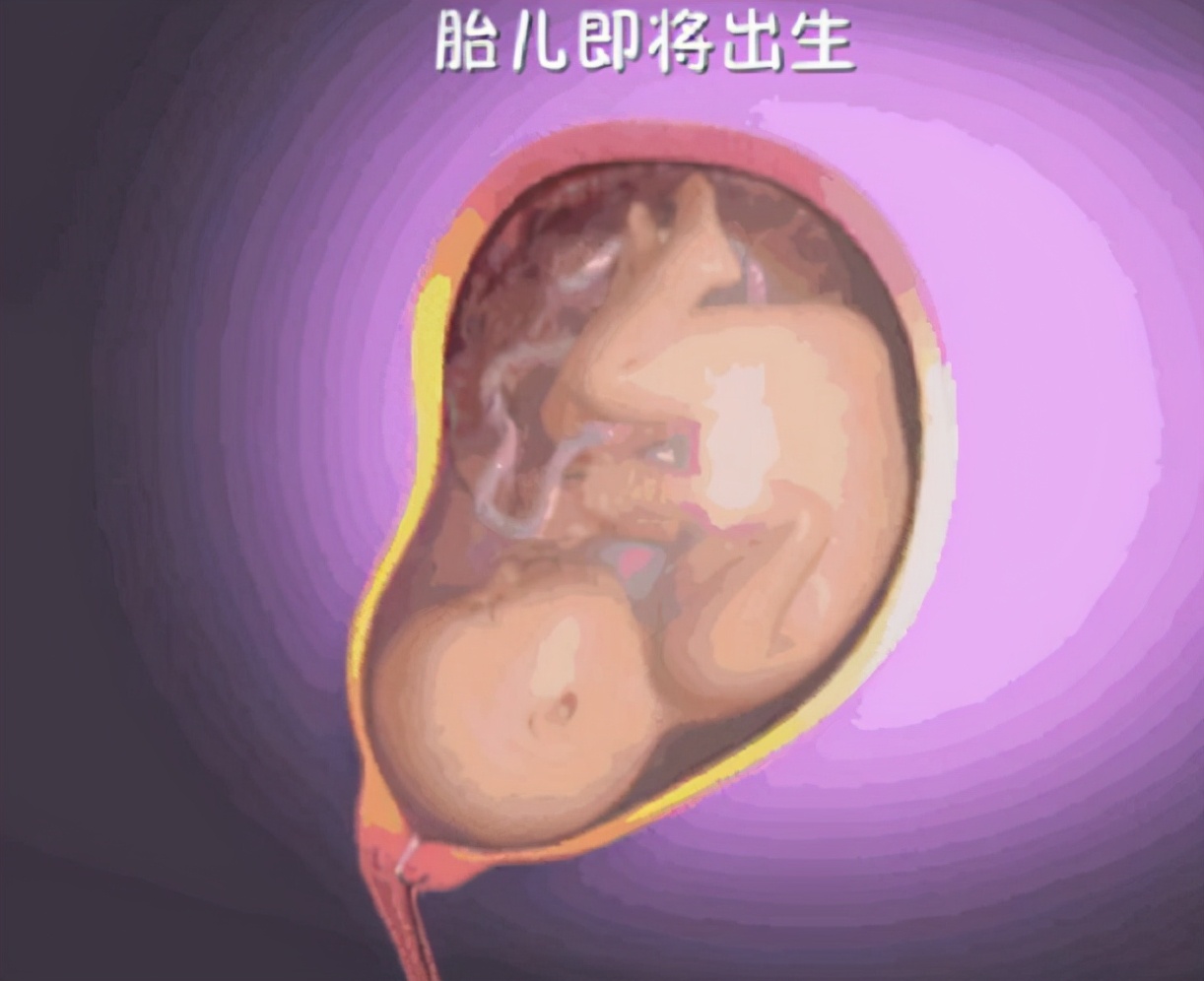 小宝宝最快的出生方法是什么,宝宝出生30天成长过程