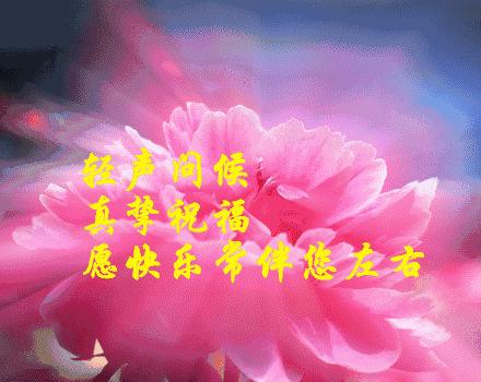 早上好祝福你幸福平安,早上好暖心话祝福语歌曲