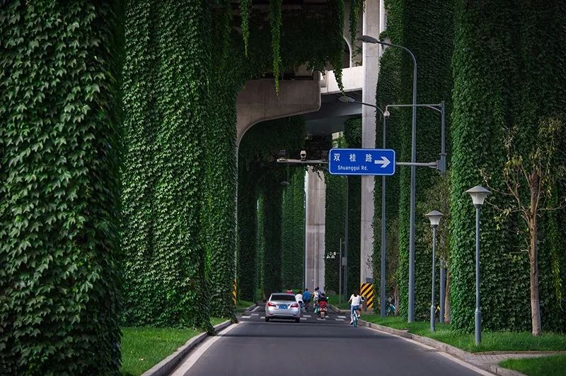 成都二环绿化,成都二环绿植视频