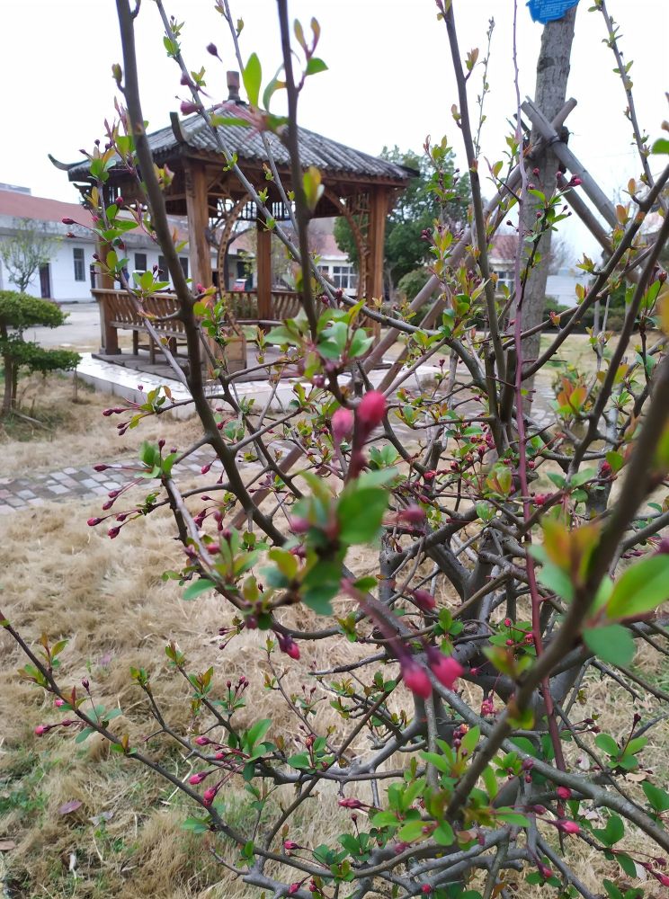 为什么我们的孩子不自信,龙应台的小儿子安德烈现状