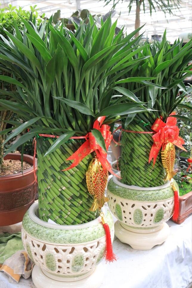 竹报平安富贵竹节节高,竹报平安富贵延年