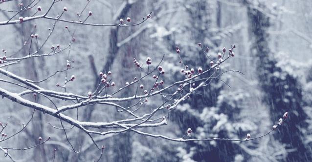 羽绒服脏怎么洗最好的方法,羽绒服皱皱巴巴的用什么解决