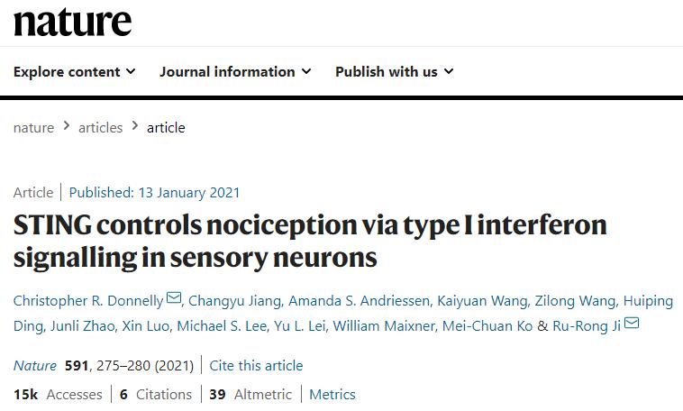 纪如荣团队发现STING在疼痛调控中大有可为