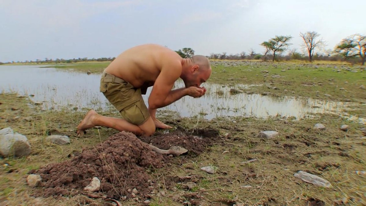 德爷吃乌龟完整版,野外求生德爷吃乌龟