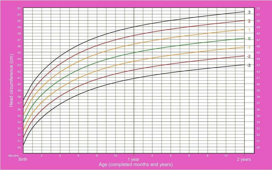 婴幼儿胖点好还是瘦点好,宝宝喂胖点好还是瘦好