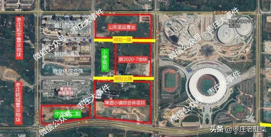 鱼龙混杂泥沙俱下的区别,鱼龙混杂区别