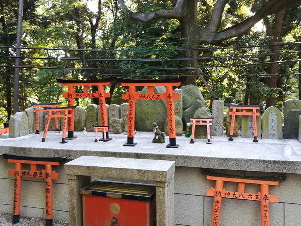 不一样的体验完整版,不一样的体验小说后续