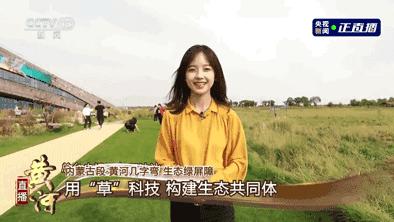 王冰冰和庄晓莹谁漂亮,央视花旦王冰冰