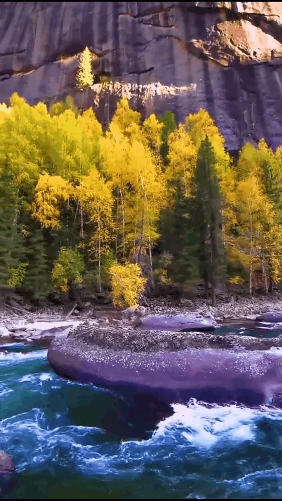 如果你不了解现实你就去看历史,如果你不了解历史就无法展望未来