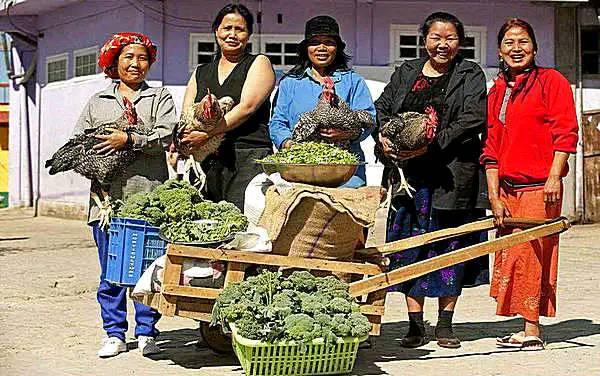 印度男人为什么能娶多个老婆,印度男人能娶4个老婆吗