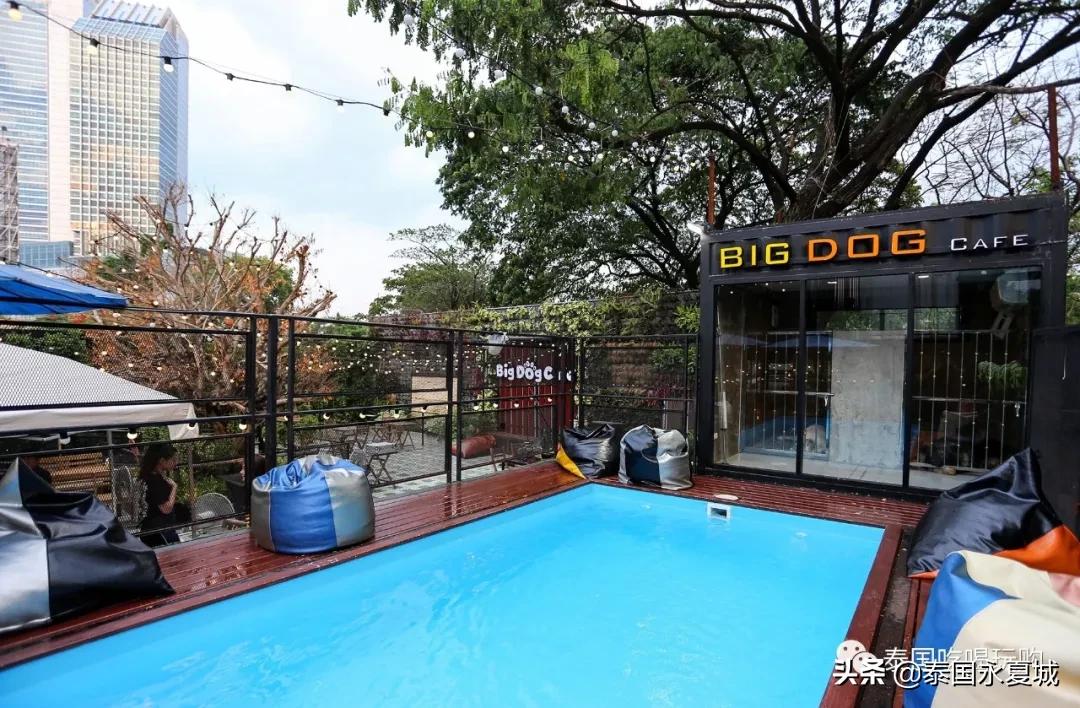 曼谷BigDogCafe|想把每一只狗狗偷偷打包带回家！