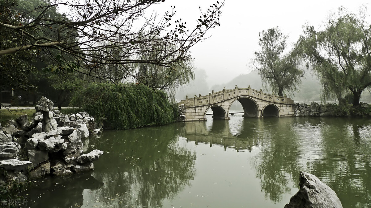 广德市的经济发展，竹子有贡献吗？这都是广德人不说的秘密