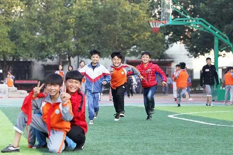 鹏城杯篮球赛视频,鹏城篮球赛