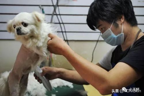 三个最有潜力的创业方向,轻资产创业项目热门