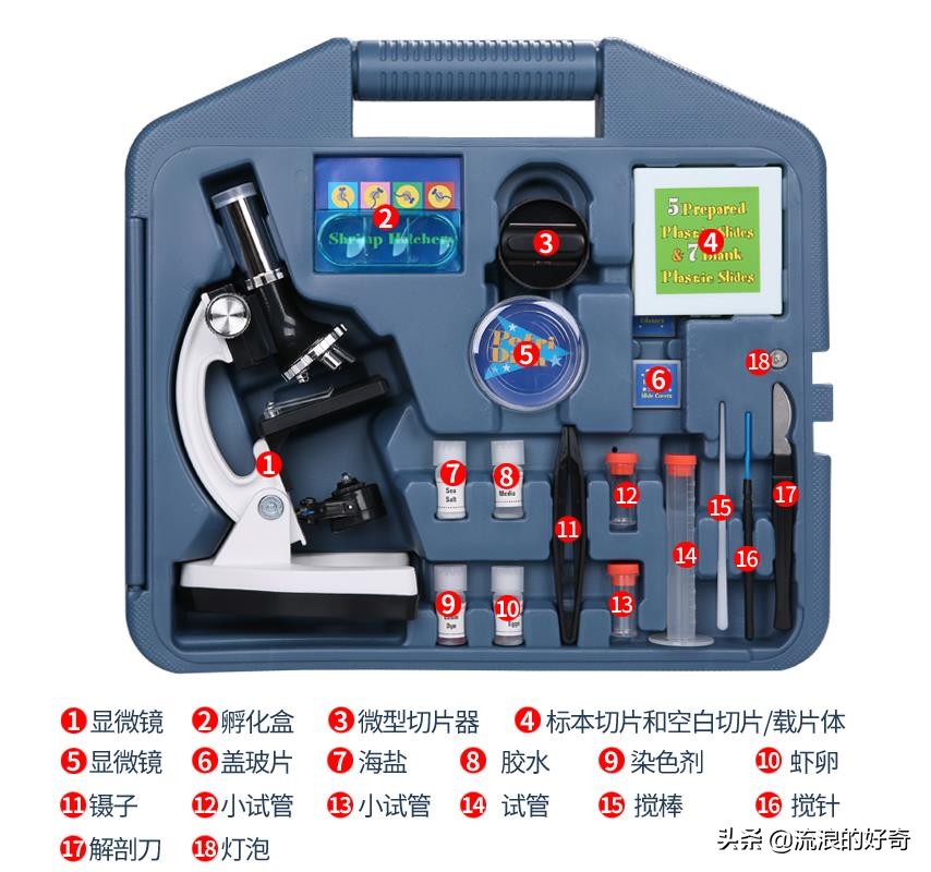 可看细胞显微镜开箱,买哪个便携式显微镜可看细胞