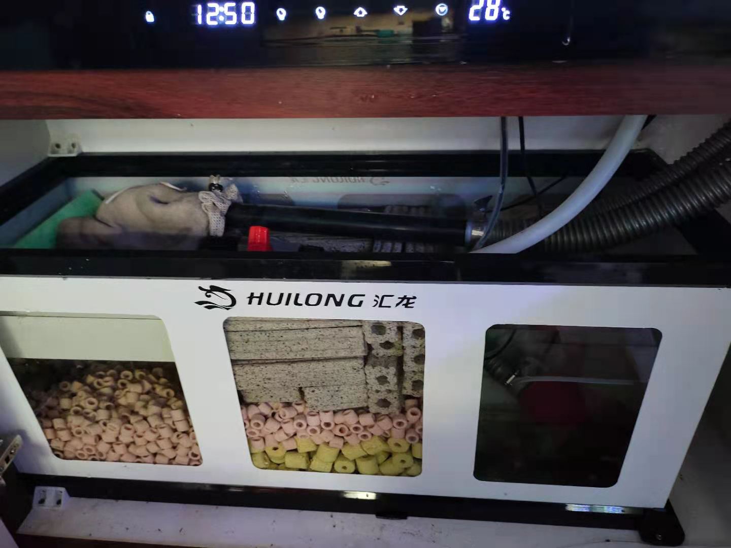 底滤鱼缸第一层用魔毯好吗,清洗魔袋